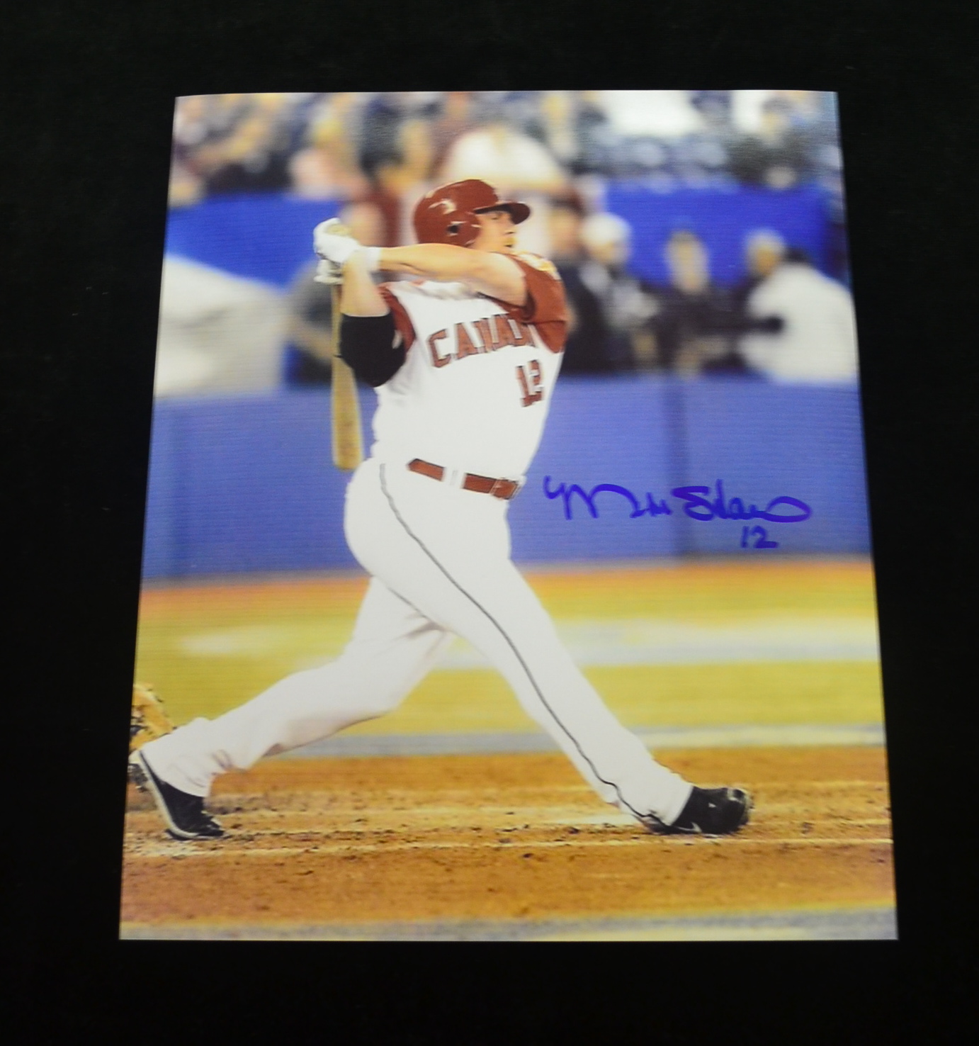 Team Canada Member Matt Stairs Autographed Photo - Carls Cards